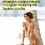 Impuestos – Rogers