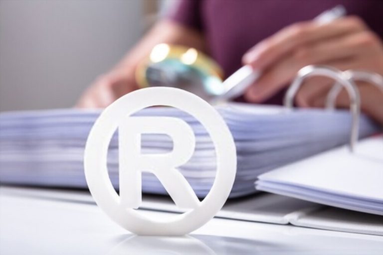 REGISTRO DE MARCAS EN MATERIA ADUANERA