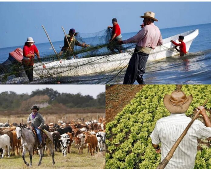 actividades del sector primario